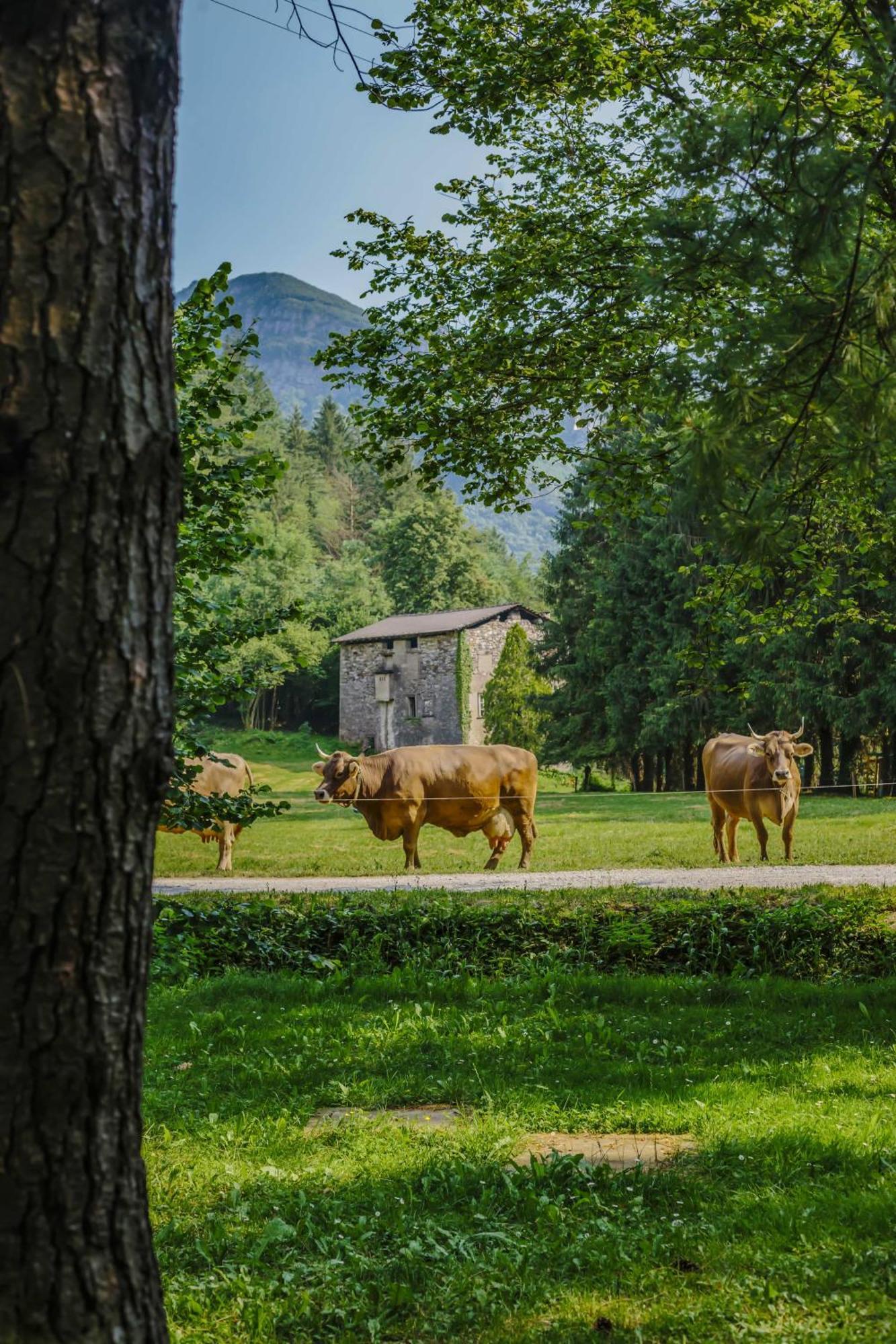 Agriturismo Ferdy Villa Lenna Luaran gambar